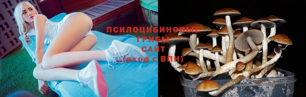 герыч Горняк