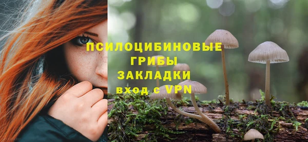 герыч Горняк