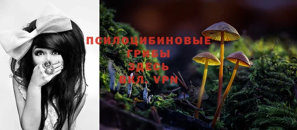 мет Горно-Алтайск