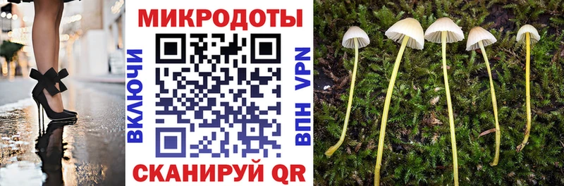 ссылка на мегу рабочий сайт  Пошехонье  Галлюциногенные грибы прущие грибы  продажа наркотиков 